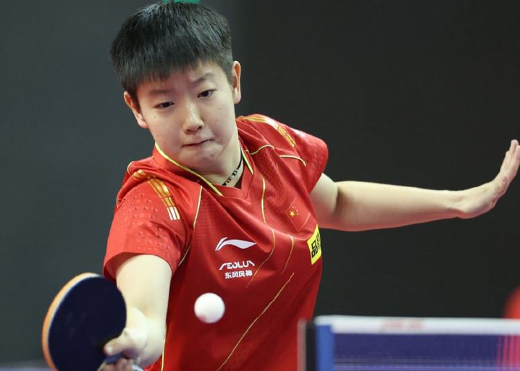 结论性观察 结论性观察